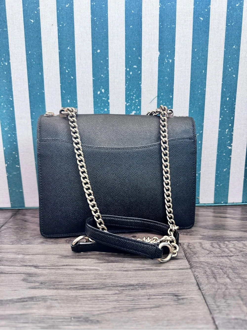 Coach klare crossbody